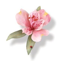 Sizzix Thinlits Susan's Garden Die Set 10PK Flower Alstroemeria 658851