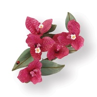 Sizzix Thinlits Susan's Garden Die Set 9PK Flower, Bougainvillea 658853