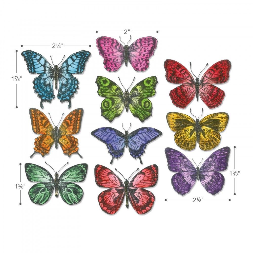 Sizzix Tim Holtz Stamp Set Flutter CMS294