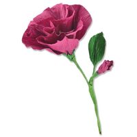 Sizzix Thinlits Die Set 7PK Lisianthus