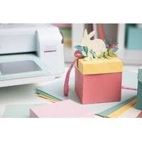 Sizzix Thinlits Plus Die Set 12PK - Classic Box by Kath Breen 666111
