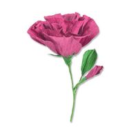 Sizzix Thinlits Die Set 7PK Lisianthus