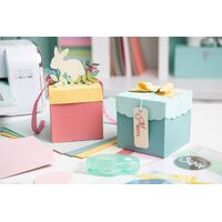 Sizzix Thinlits Plus Die Set 12PK - Classic Box by Kath Breen 666111