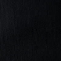 Liquitex Basics Acrylic - 118ml - Ivory Black