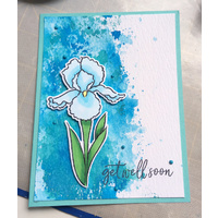 Memory Box Die Sentimental Iris 32202
