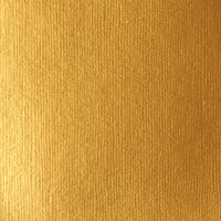Liquitex Basics Acrylic - 118ml - Gold