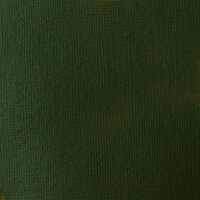 Liquitex Basics Acrylic - 118ml - Hooker’s Green