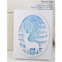 Memory Box Die Pine Branch Oval Frame 99489 