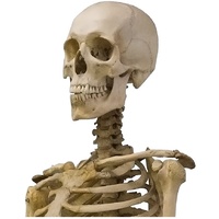 Joy Riders Car Window Cling Skeleton