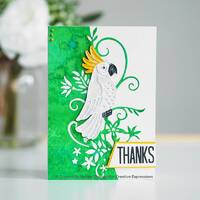 Paper Cuts Collection Die Charming Parrot CEDPC1156