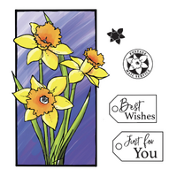 Couture Creations Stamp & Colour Outline Stamps Framed Daffodils