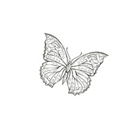 Couture Creations - Blues by You - Butterfly 2 Stamp