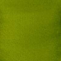 Cosmic Shimmer Andy Skinner Ink-ology Inks Golden Green 30 ml