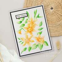 Creative Expressions Daffodil Dreams 5 in x 7 in 3D Embossing Folder EF3D-073