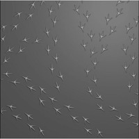 Nellie Snellen Background 3D Embossing Folder - Birdfeet - EF3D078