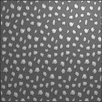 Nellie Snellen Background 3D Embossing Folder - Cheetah - EF3D079