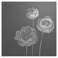 Nellie’s Choice 3D Embossing Folder - Flowers - EF3D108