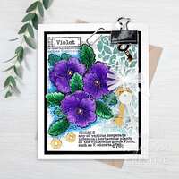 Woodware Clear Singles 3” x 4” Stamp - Mini Violet - FRM076