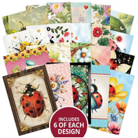 Hunkydory Crafts The Little Book of Ladybirds