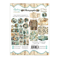 Mintay Papers Elements 27/Pkg Photographer