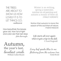 Spellbinders Clear Stamps Susan's Autumn Quotes STP-024