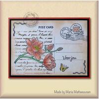 Nellie's Choice Texture Clear Stamp Post Stamps