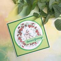 Creative Expressions Designer Boutique Squirrel Greetings 4 in x 6 in Stamp Set UMSDB166