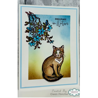 Woodware Feline Grace A6 Clear Stamp Set By Gwen Fletcher