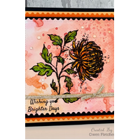 Woodware Autumn's Crown A6 Clear Stamp Set By Gwen Fletcher