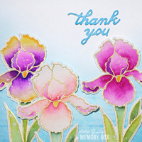 Memory Box Die Sentimental Iris 32202