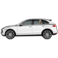 Joy Riders Car Window Cling Skeleton