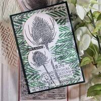 Woodware Stencil - 6in x 6in - Pampa - FRST081