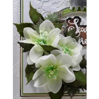 John Next Door Stamp - Christmas Rose Stamp JND145
