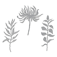 Spellbinders Die Everyday Foliage Etched Dies S4-1339