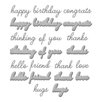 Spellbinders Die Handwritten Sentiments Etched Dies S5-630
