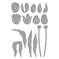 Spellbinders Die Tulip Trio Etched Dies S6-234