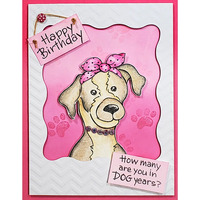 Stampendous Dog Years Perfectly Clear Stamp Set SSC1432