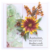 Spellbinders Clear Stamps Susan's Autumn Quotes STP-024