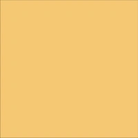 12 X 12 Mustard Cardstock