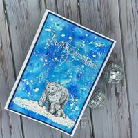 Creative Expressions Designer Boutique Polar Night 4 in x 6 in Stamp Set UMSDB163
