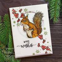 Creative Expressions Designer Boutique Squirrel Greetings 4 in x 6 in Stamp Set UMSDB166