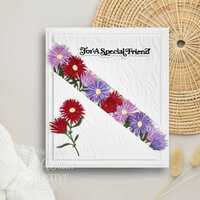 Sue Wilson Mini Shadowed Sentiments For A Special Friend - CEDSS039