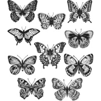 Sizzix Tim Holtz Flutter Stamps and Die Set CMS294 662269