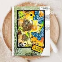 Woodware Stencil - 6in x 6in - Pampa - FRST081