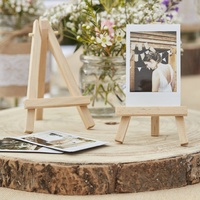 Jasart Mini Canvas and Easel