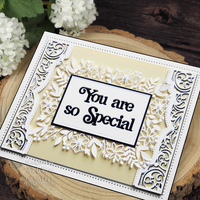 Creative Expressions Sue Wilson Frames and Tags Daisy Rectangle Craft Die
