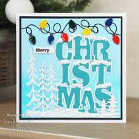 Sue Wilson Big Bold Words Christmas Craft Die & Stamp Set CEDSD019