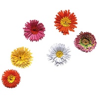 Crafts-Too Quilling Fringer