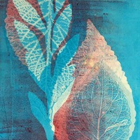 Gelli Arts Gel Printing Plate 8in x 10in