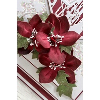 John Next Door Stamp - Christmas Rose Stamp JND145
